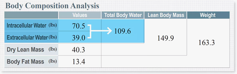 Lean Muscle Mass Chart