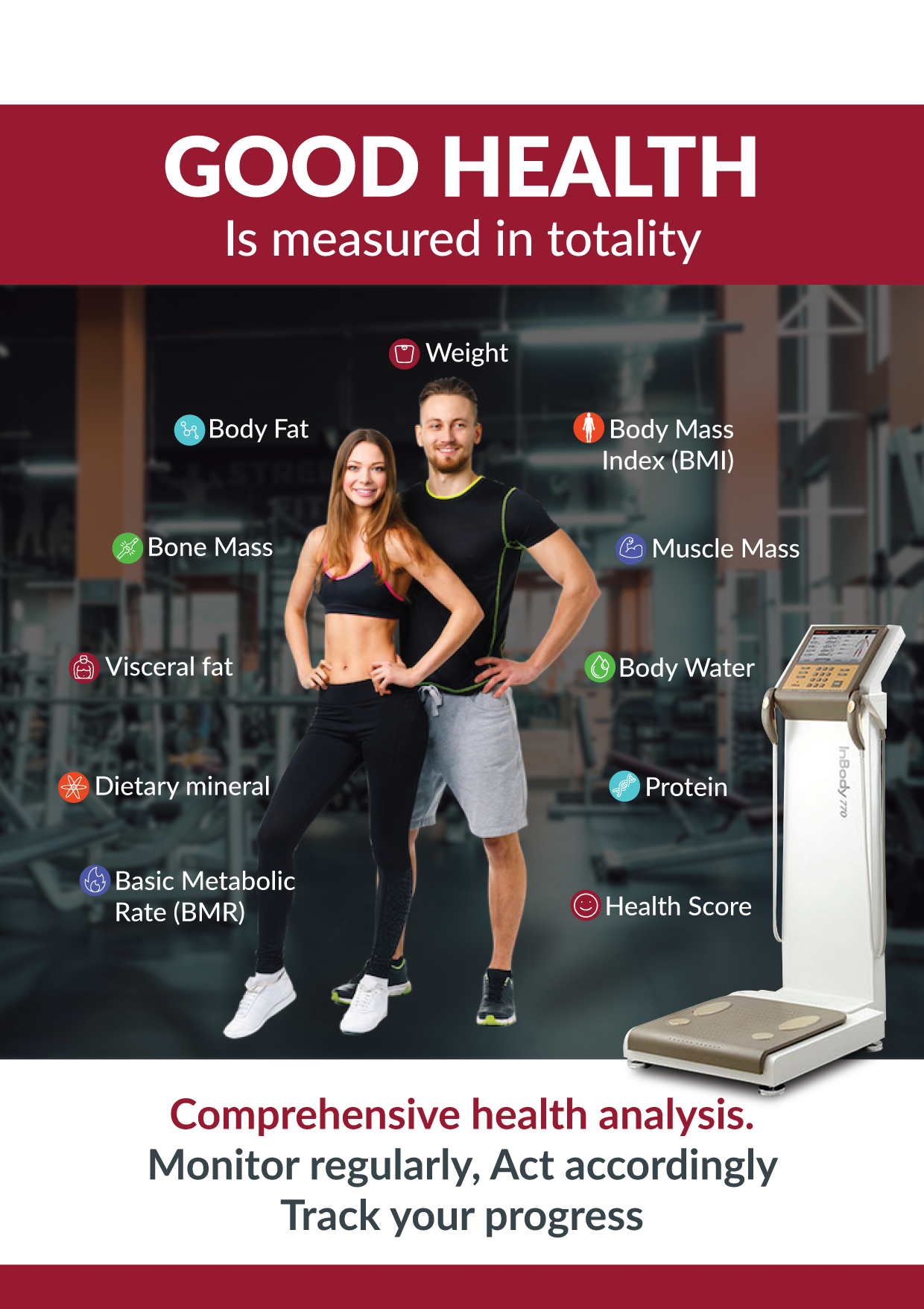InBody Body Composition Analysis — The Fit In