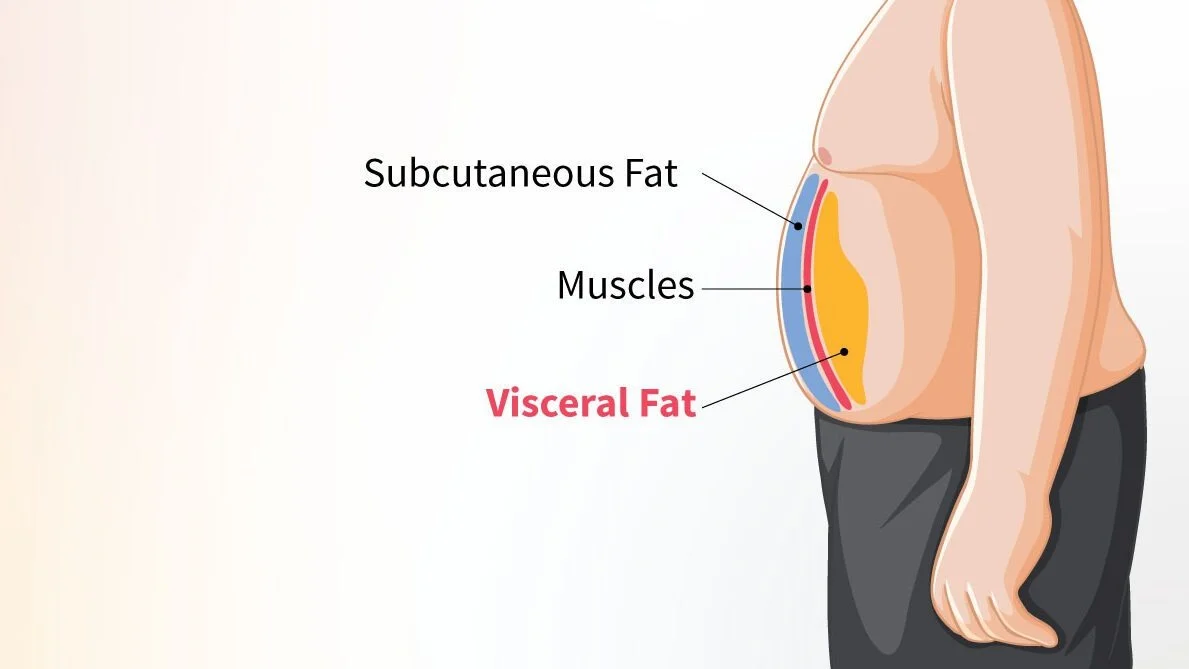 What Is Visceral Fat (and Why It’s More Dangerous Than You Think)