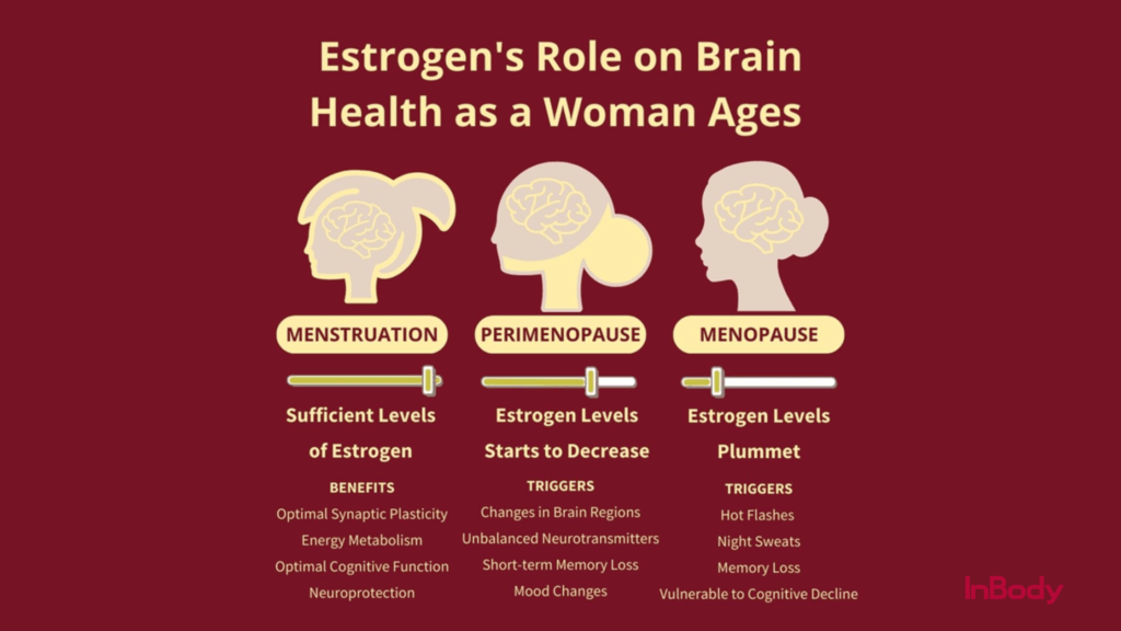 Estrogen's Role on Brain Health as a Woman Ages" breaks down how estrogen impacts brain health across three stages of life: menstruation, perimenopause, and menopause.
Menstruation: Estrogen levels are sufficient, supporting:
Optimal synaptic plasticity
Energy metabolism
Cognitive function
Neuroprotection
Perimenopause: Estrogen starts to decrease, leading to:
Changes in brain regions
Unbalanced neurotransmitters
Short-term memory loss
Mood swings
Menopause: Estrogen levels plummet, triggering:Hot flashes
Night sweats
Memory loss
Higher risk of cognitive decline