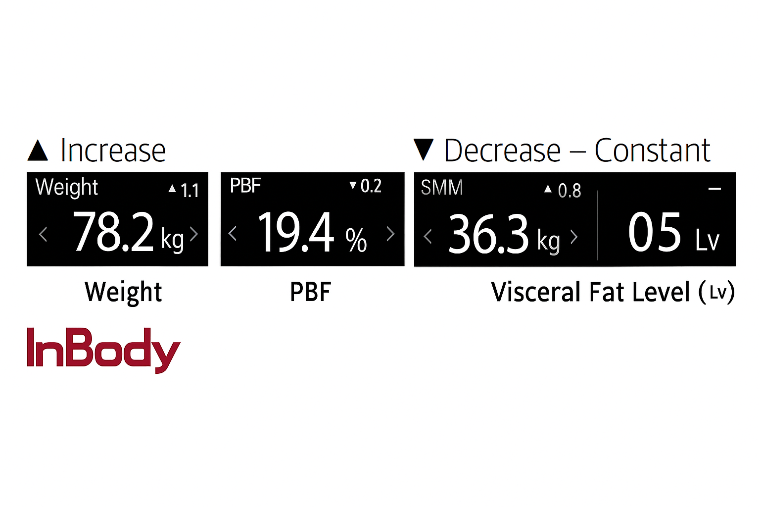InBody H30 scan results showing body weight, percent body fat, and visceral fat level changes