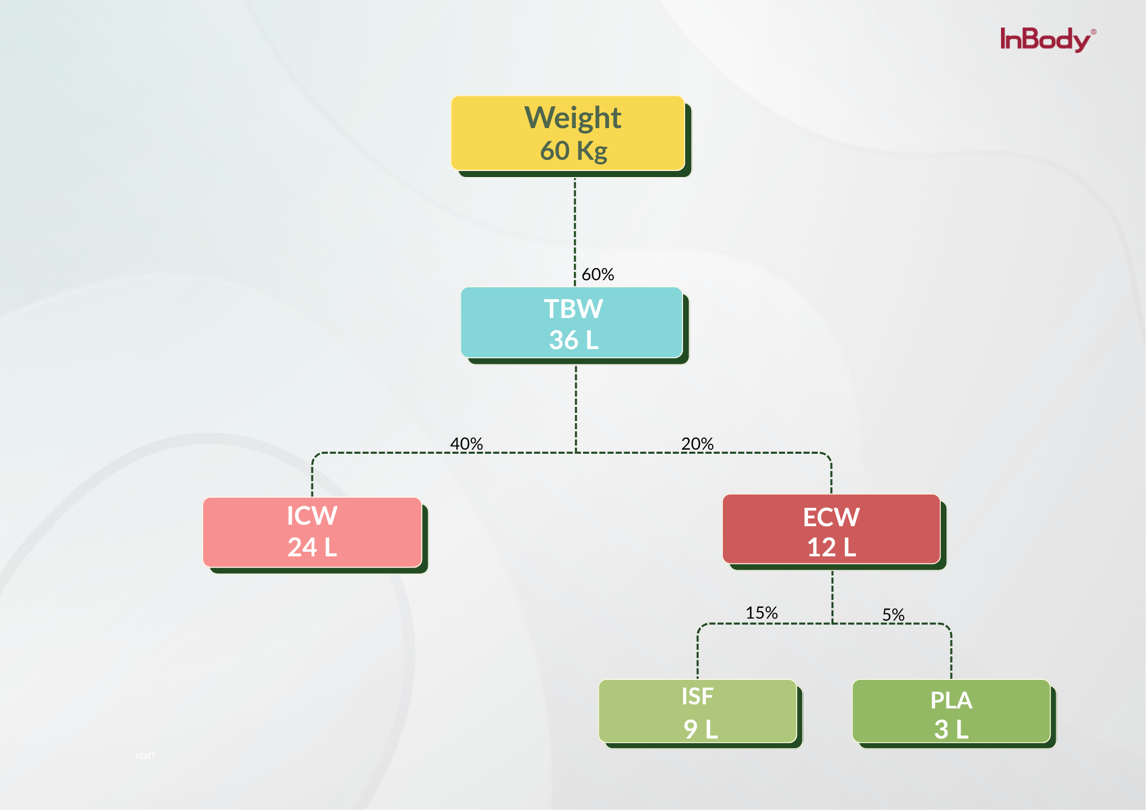 Body Water Weightage Distribution