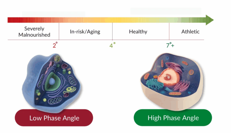 Phase Angle , cell health and immunity