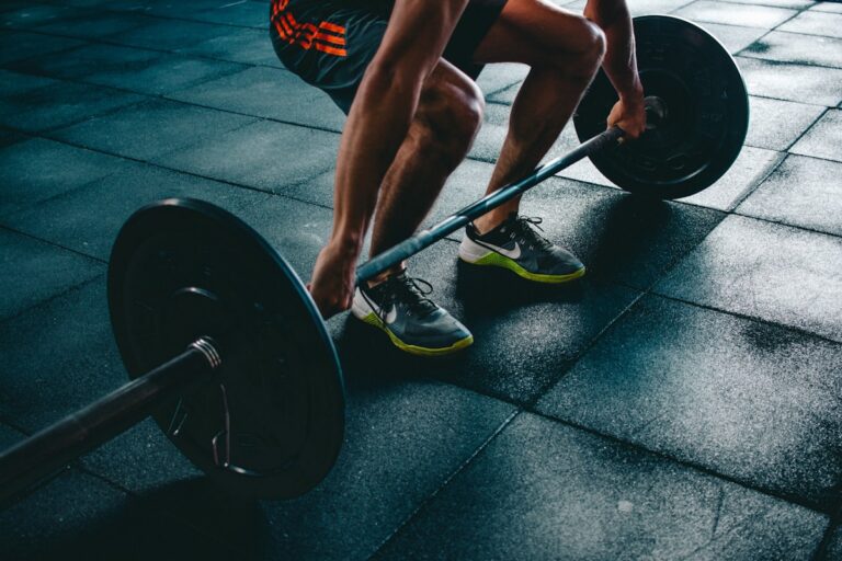 Improve InBody score workout