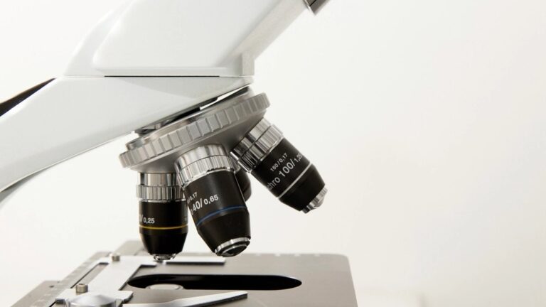 Laboratory microscope work, representing IVF and fertility treatment