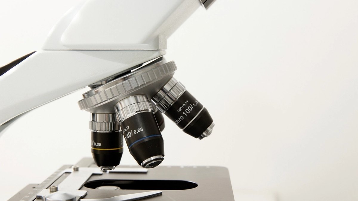 Fertility Treatment & Body Composition: What Visceral Fat Research Means for IVF Outcomes in India [2026]