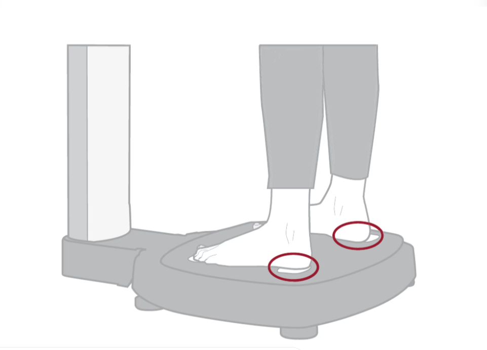 Step 2
